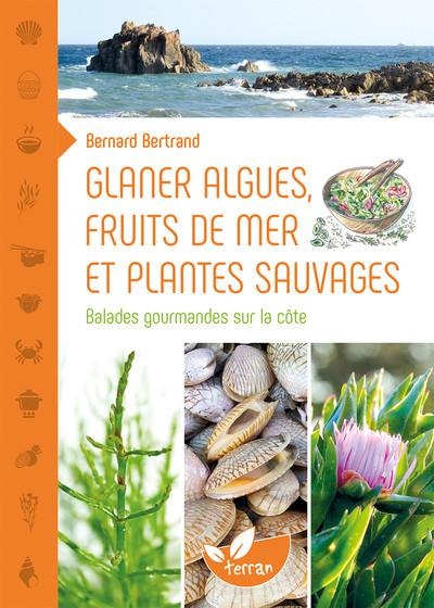 Picture of Glaner algues, fruits de mer et plantes sauvages - Balades gourmandes sur la côte