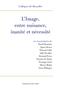 Picture of L' Image, entre nuisance, inanité et nécessité