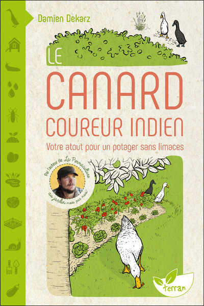 Image de Le Canard coureur indien - Votre atout pour un potager sans limaces