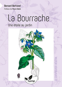 Picture of La Bourrache - Une étoile au jardin