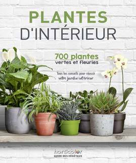 Picture of Plantes d'intérieur