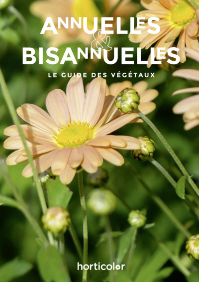Image de Guide des annuelles et bisannuelles