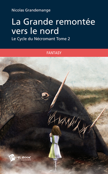 Picture of LA GRANDE REMONTEE VERS LE NORD