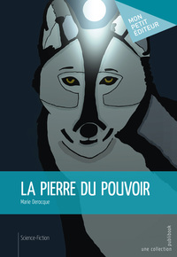 Image de La pierre du pouvoir