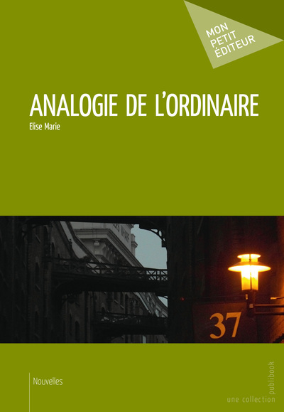 Picture of Analogie de l'ordinaire