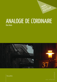 Picture of Analogie de l'ordinaire