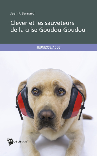 Image de Clever et les sauveteurs de la crise Goudou-Goudou