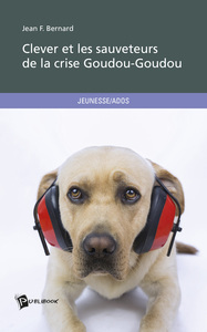 Image de Clever et les sauveteurs de la crise Goudou-Goudou