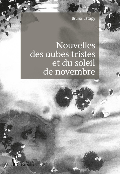 Picture of Nouvelles des aubes tristes et du soleil de novembre