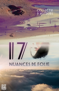 Image de 17 nuances de folie