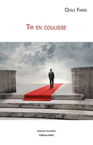 Picture of Tir en coulisse