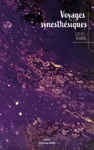 Picture of Voyages Synesthésiques