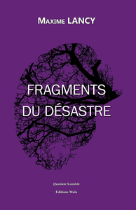 Image de Fragments du désastre