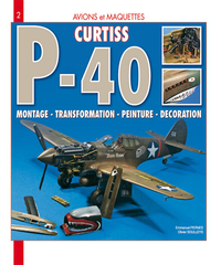 Image de Curtiss P-40 Warhawk - montage, transformation, peinture, décoration