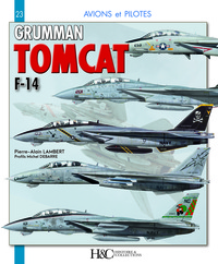 Picture of Grumman F-14 Tomcat