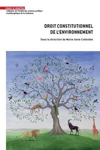 Picture of Droit constitutionnel de l'environnement