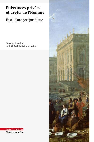 Picture of Puissances privées et droits de l'Homme