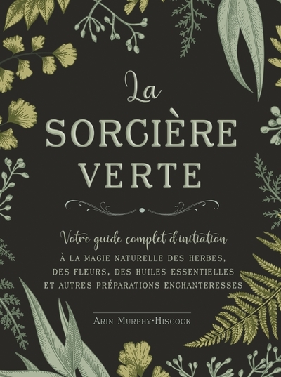 Image de La sorcière verte - Votre guide complet d'initiation