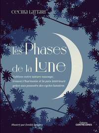 Picture of Les phases de la lune