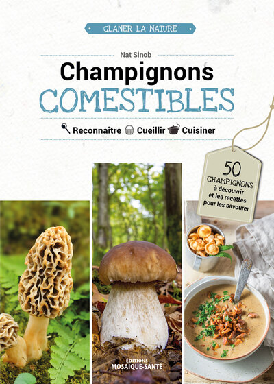 Image de Champignons comestibles