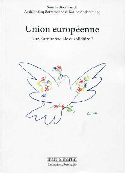 Picture of Union européenne