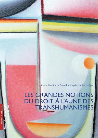 Picture of Les grandes notions du droit à l'aune du transhumanisme
