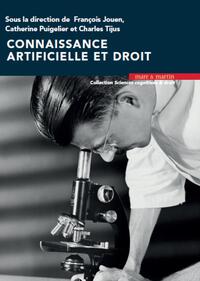 Image de Connaissance artificielle et droit
