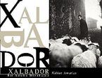Image de AMURIZA, XABIER * XALBADOR BAT*BATEKO MIRAKULUA