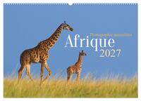 Image de Afrique - Photographie animalière (Calendrier mural 2027 DIN A2 vertical), CALVENDO calendrier mensuel