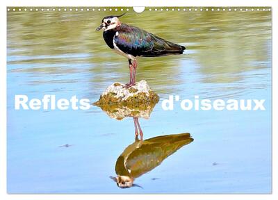 Picture of Reflets d'oiseaux (Calendrier mural 2027 DIN A3 vertical), CALVENDO calendrier mensuel