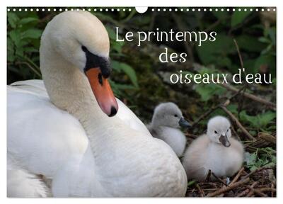Image de Le printemps des oiseaux d'eau (Calendrier mural 2027 DIN A3 vertical), CALVENDO calendrier mensuel