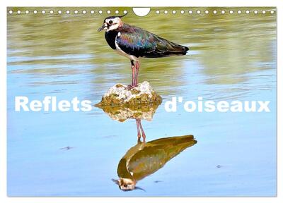 Image de Reflets d'oiseaux (Calendrier mural 2027 DIN A4 vertical), CALVENDO calendrier mensuel