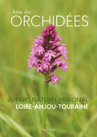 Picture of Atlas des orchidées du Parc naturel régional Loire-Anjou-Touraine