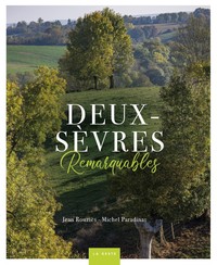 Picture of DEUX-SEVRES REMARQUABLES (BP)