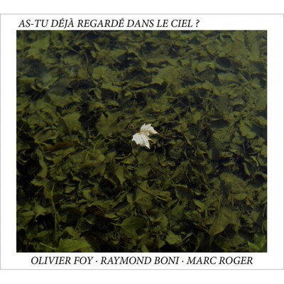 Picture of AS TU DEJA REGARDE DANS LE CIEL
