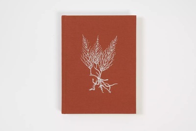 Picture of Brigantinas