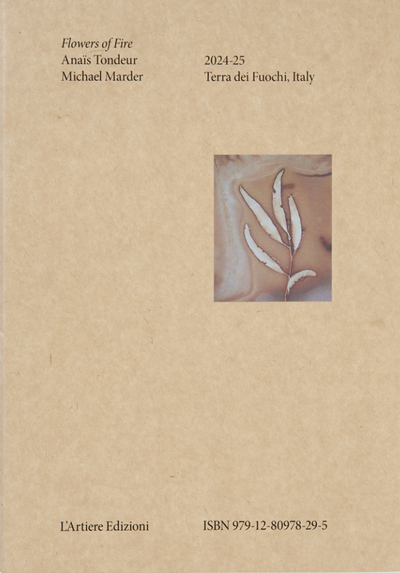 Image de Flowers of Fire