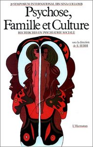 Image de Psychose famille et culture