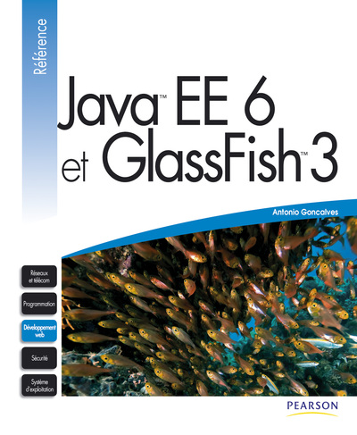 Image de JAVA EE6 ET GLASSFISH 3
