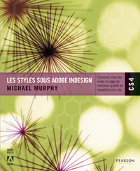 Picture of STYLES SOUS ADOBE INDESIGN CS4