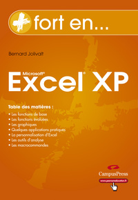 Picture of EXCEL XP