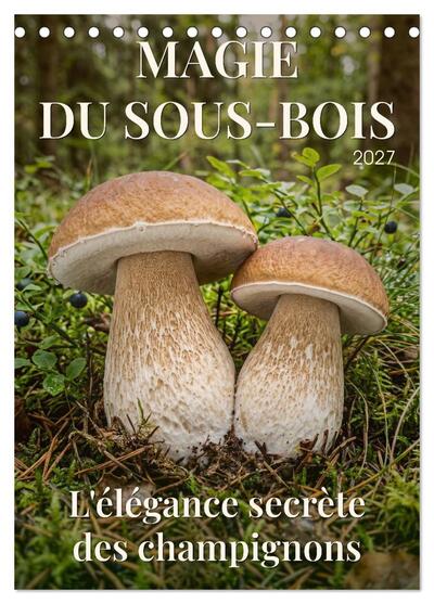 Picture of MAGIE DU SOUS-BOIS (Calendrier de bureau 2027 DIN A5 horizontal), CALVENDO calendrier mensuel