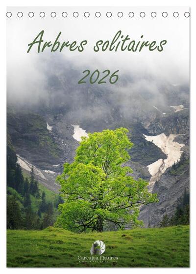 Picture of Arbres solitaires (Calendrier de bureau 2027 DIN A5 horizontal), CALVENDO calendrier mensuel