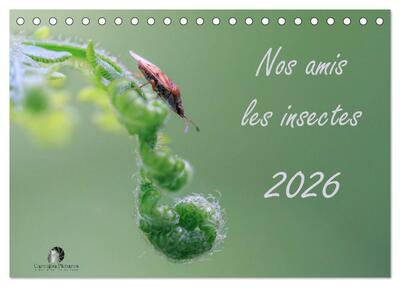 Picture of Nos amis les insectes (Calendrier de bureau 2027 DIN A5 vertical), CALVENDO calendrier mensuel