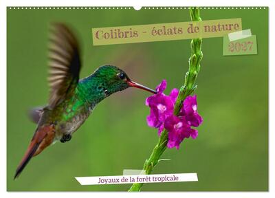 Image de Colibris - éclats de nature (Calendrier mural 2027 DIN A2 vertical), CALVENDO calendrier mensuel