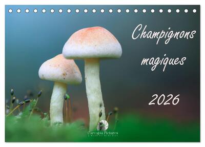 Picture of Champignons magiques (Calendrier de bureau 2027 DIN A5 vertical), CALVENDO calendrier mensuel