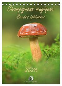 Picture of Champignons magiques - Beautés éphémères (Calendrier de bureau 2027 DIN A5 horizontal), CALVENDO calendrier mensuel