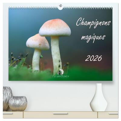 Picture of Champignons magiques (Calendrier mural haut de gamme 2027 DIN A2 vertical), CALVENDO calendrier mensuel