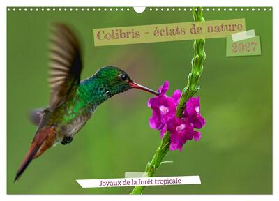 Image de Colibris - éclats de nature (Calendrier mural 2027 DIN A3 vertical), CALVENDO calendrier mensuel