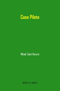 Picture of Case Pilote
